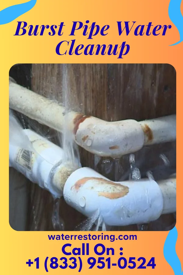 Burst Pipe Water Cleanup in Plainview, NE
